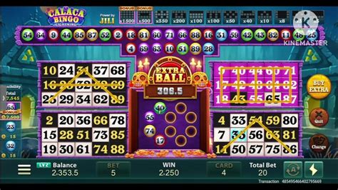 bet bingo|Iba pa.